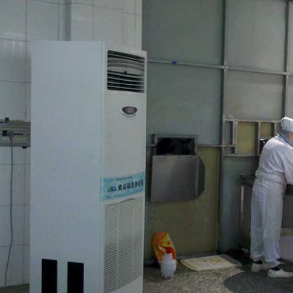 荆门食品正负离子空气杀菌器